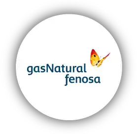 Logo-Gas-natural